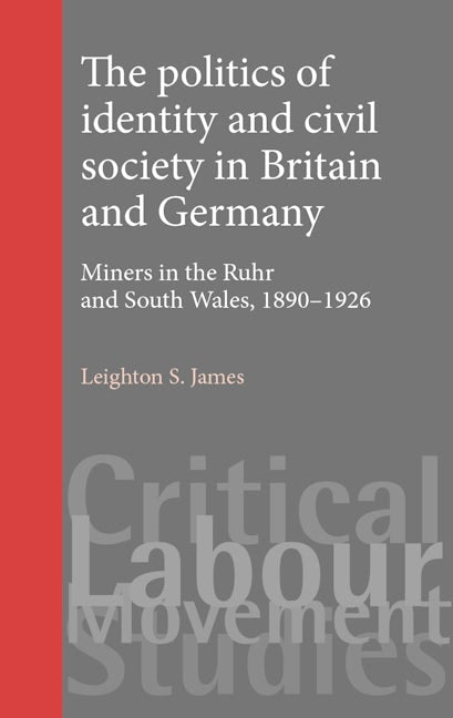 Book cover image for The politics of identity and civil society in Britain and Germany ISBN: 9780719074974